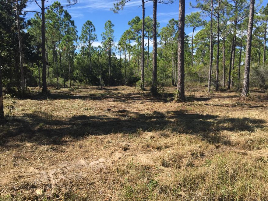 LARGE BUILDABLE LOT IN QUIET AREA. THIS IS FOR BOTH 5 & 6. LOTS ARE BRUSH CLEARED SO YOU CAN WALK AND SEE THE LOTS CLEARLY.