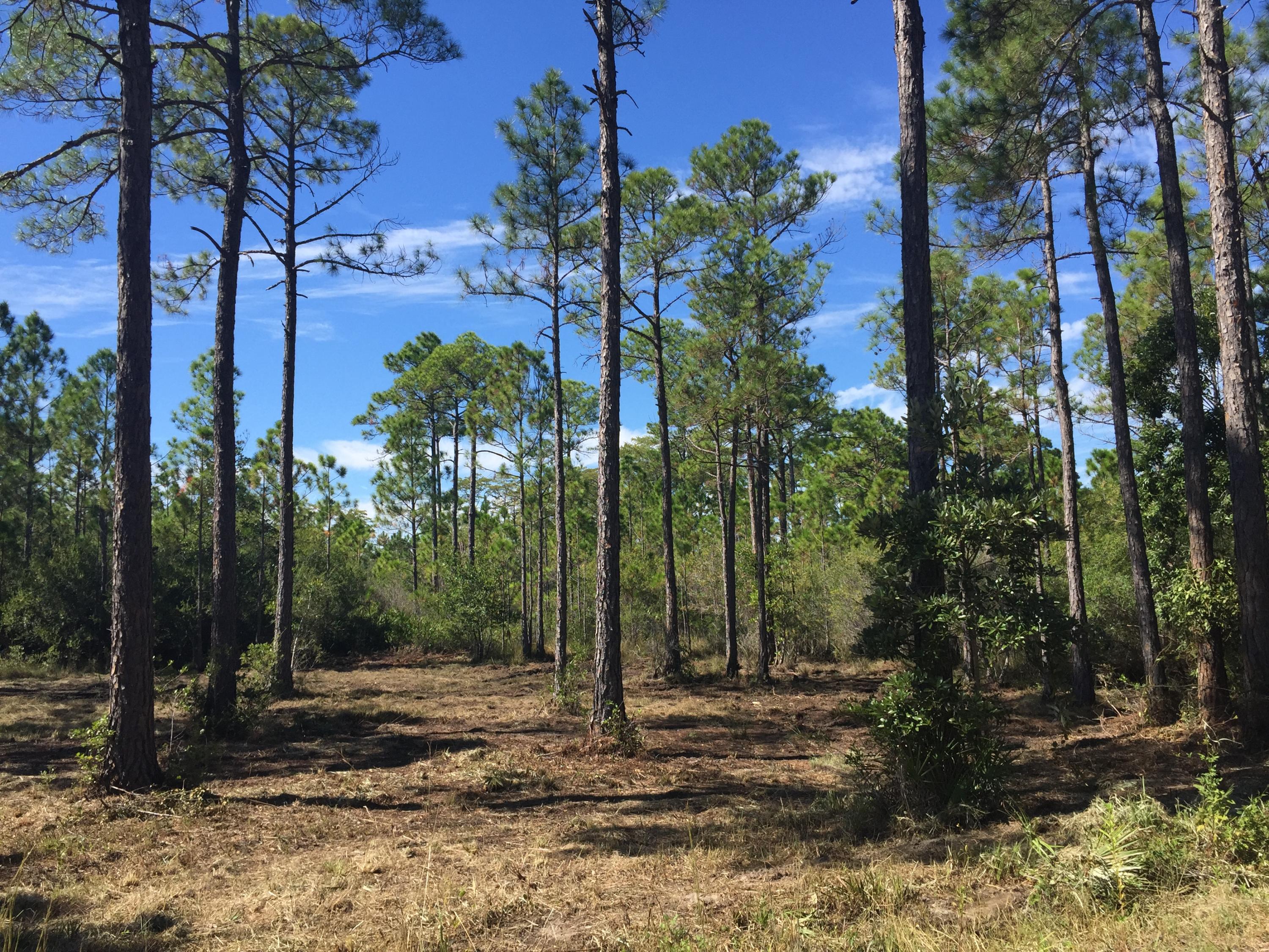 EXCLUSIVE BEACH - Land