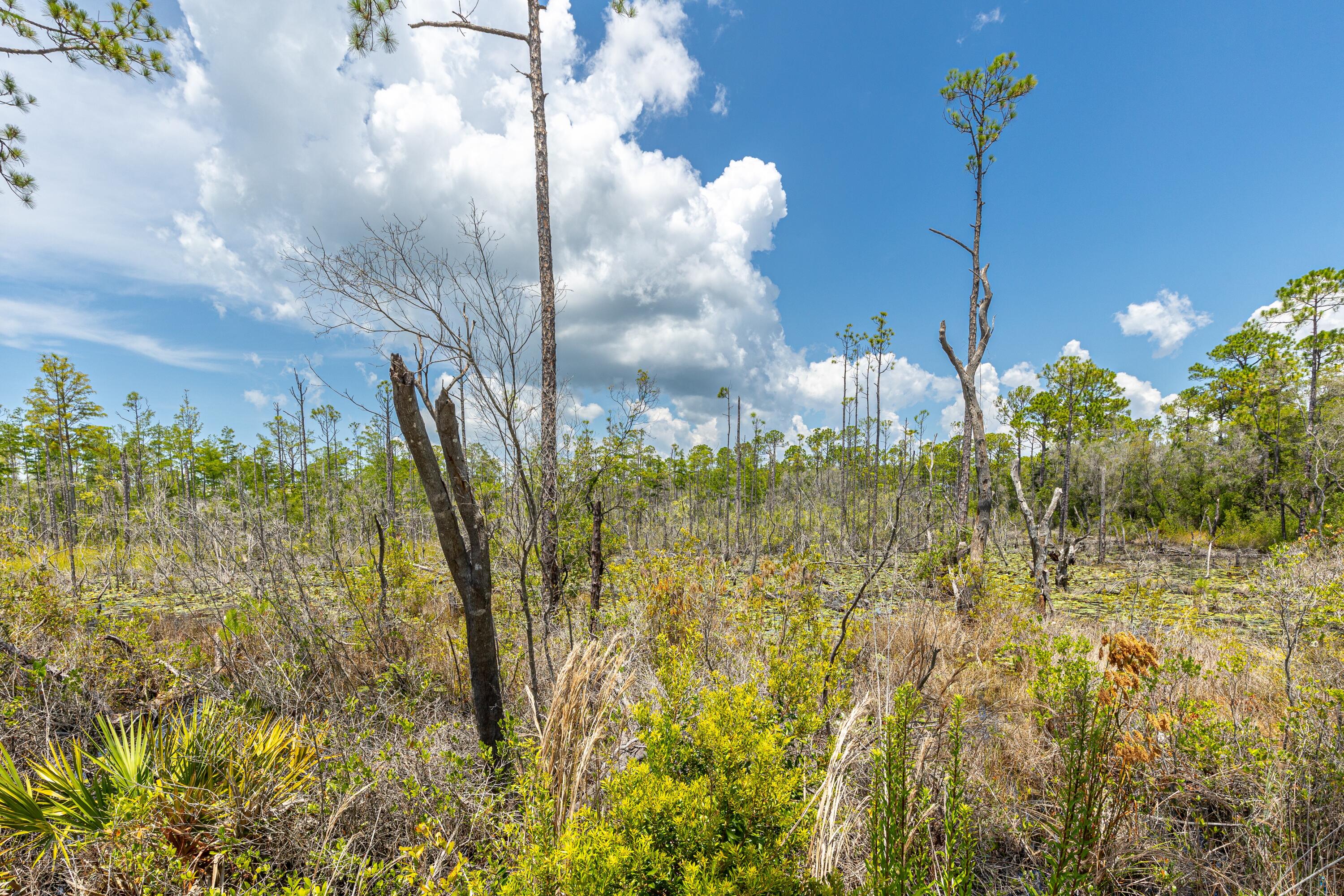 NATUREWALK AT SEAGROVE - Residential