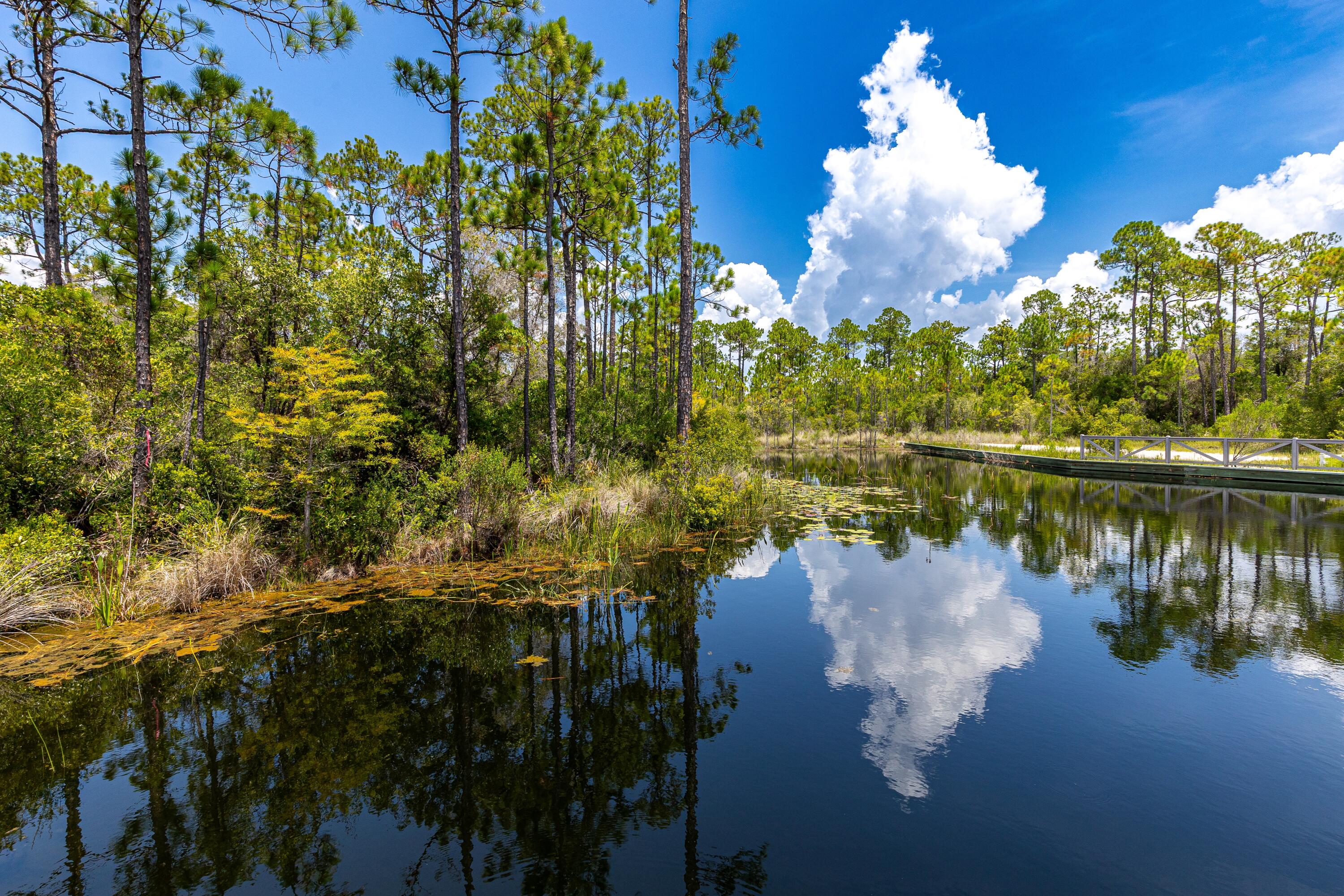 NATUREWALK AT SEAGROVE - Residential