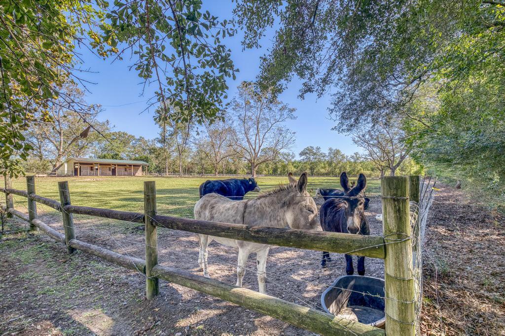 NONESUCH WAY - Residential