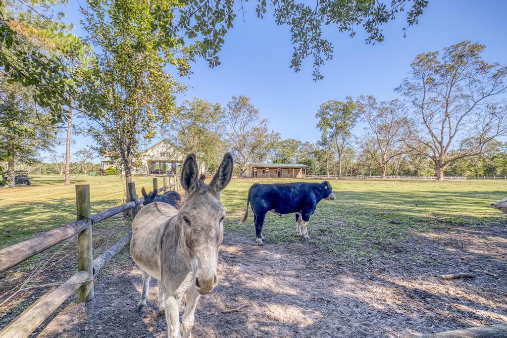 NONESUCH WAY - Residential