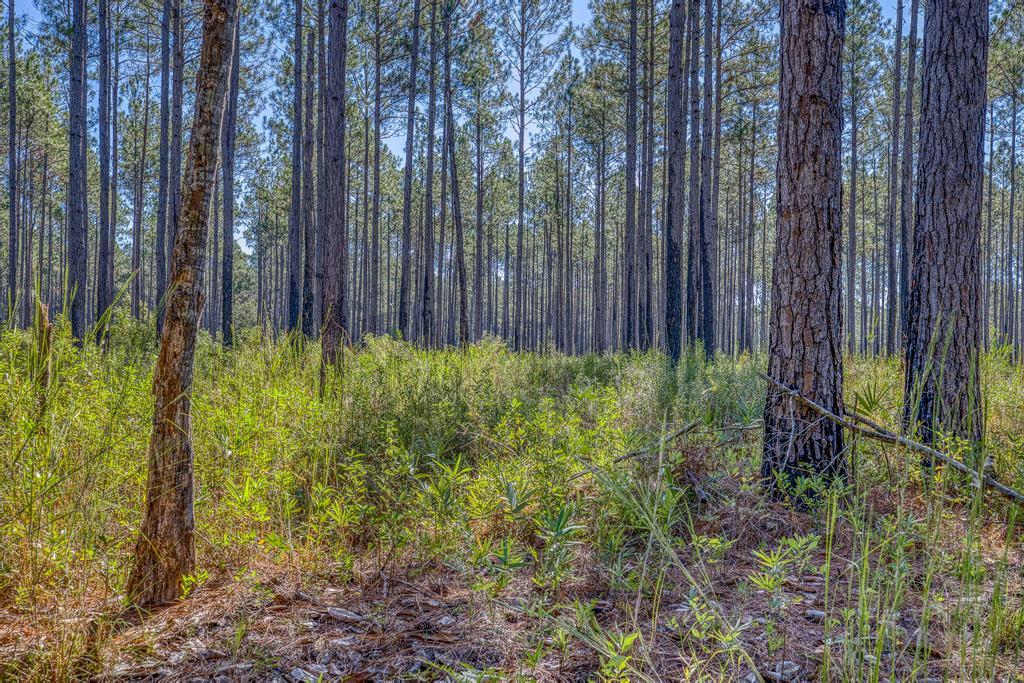 NONESUCH WAY - Residential