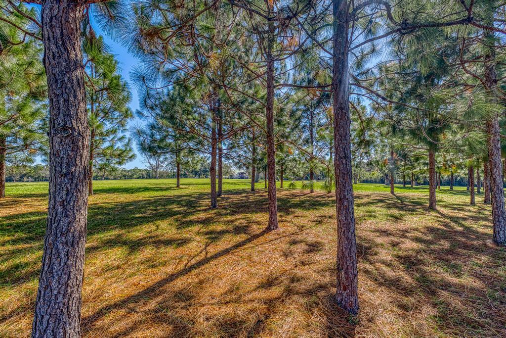 NONESUCH WAY - Residential