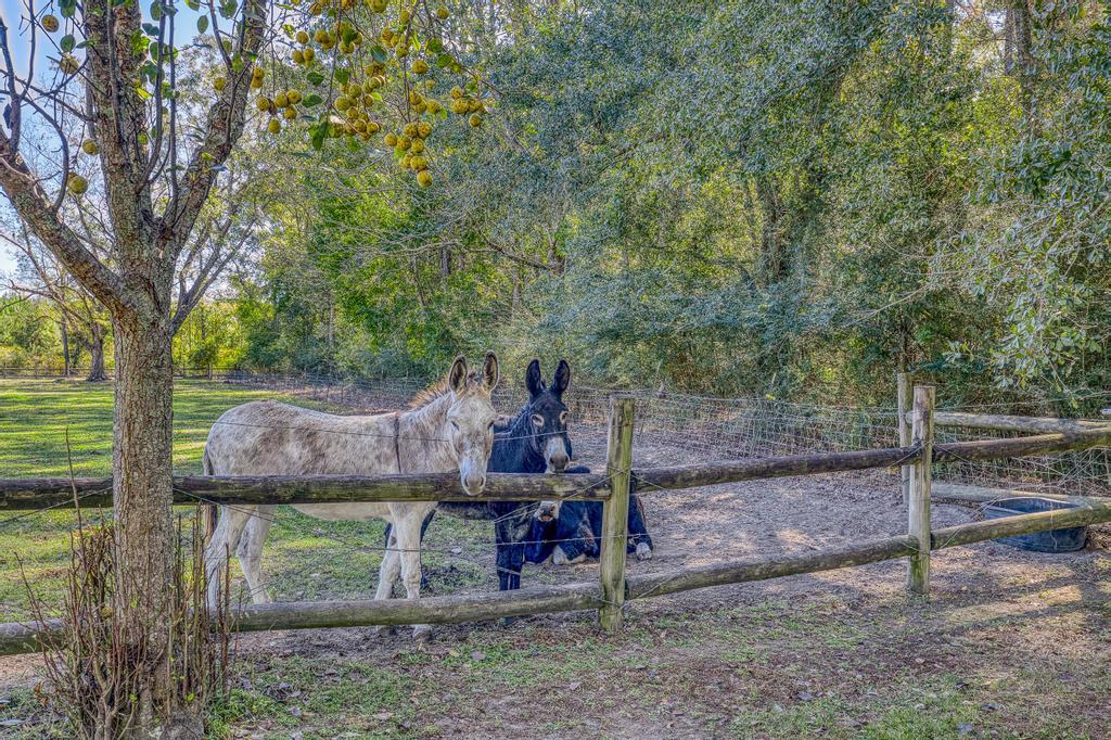 NONESUCH WAY - Residential