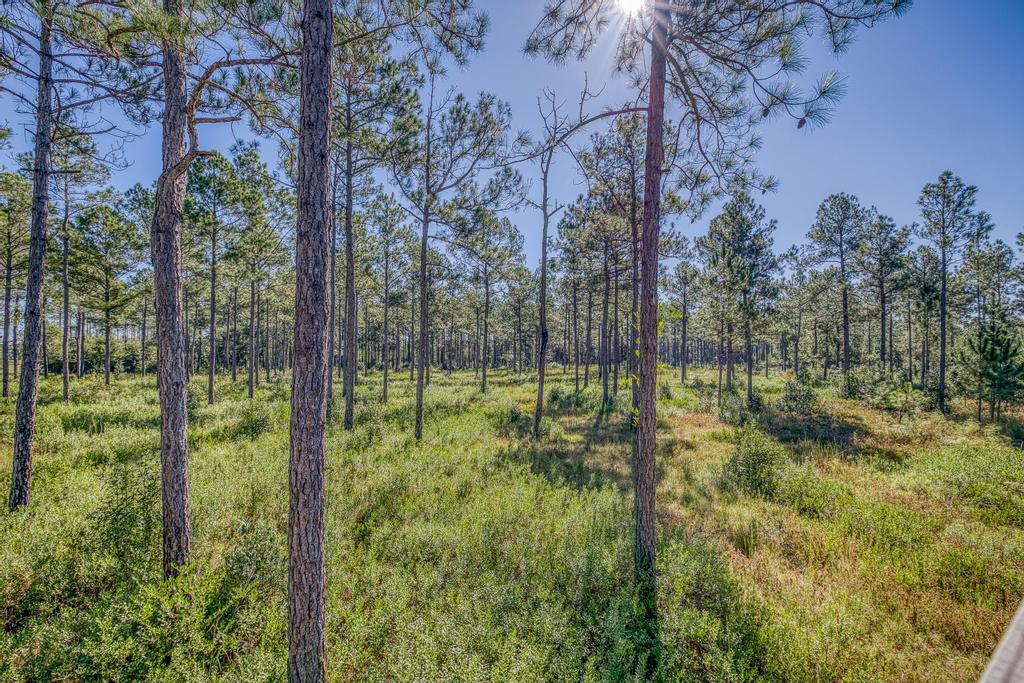 NONESUCH WAY - Residential