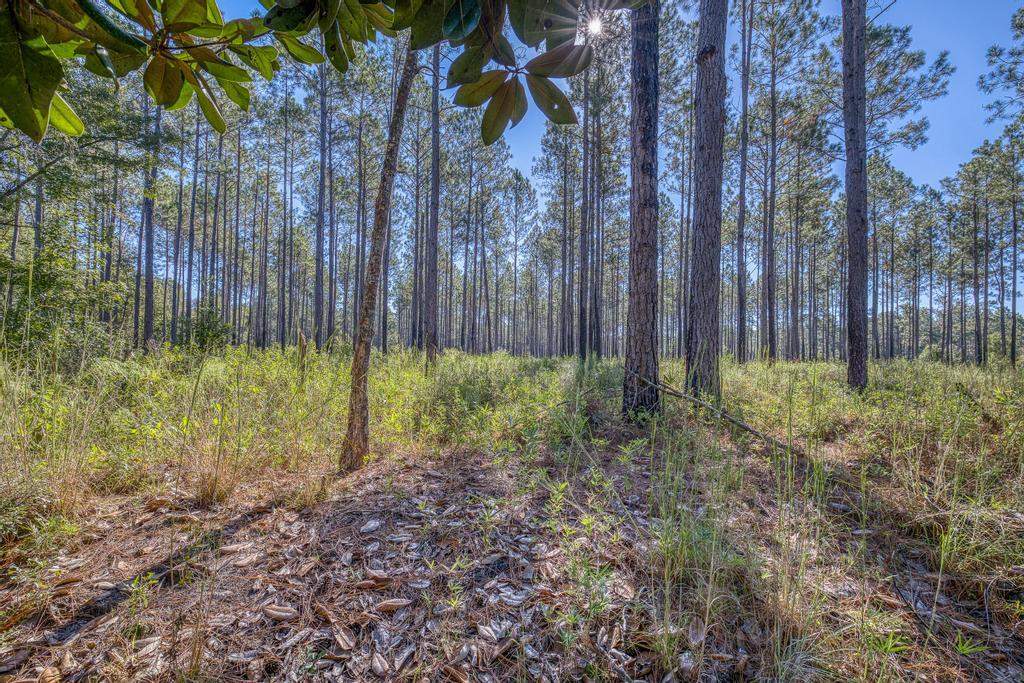 NONESUCH WAY - Residential