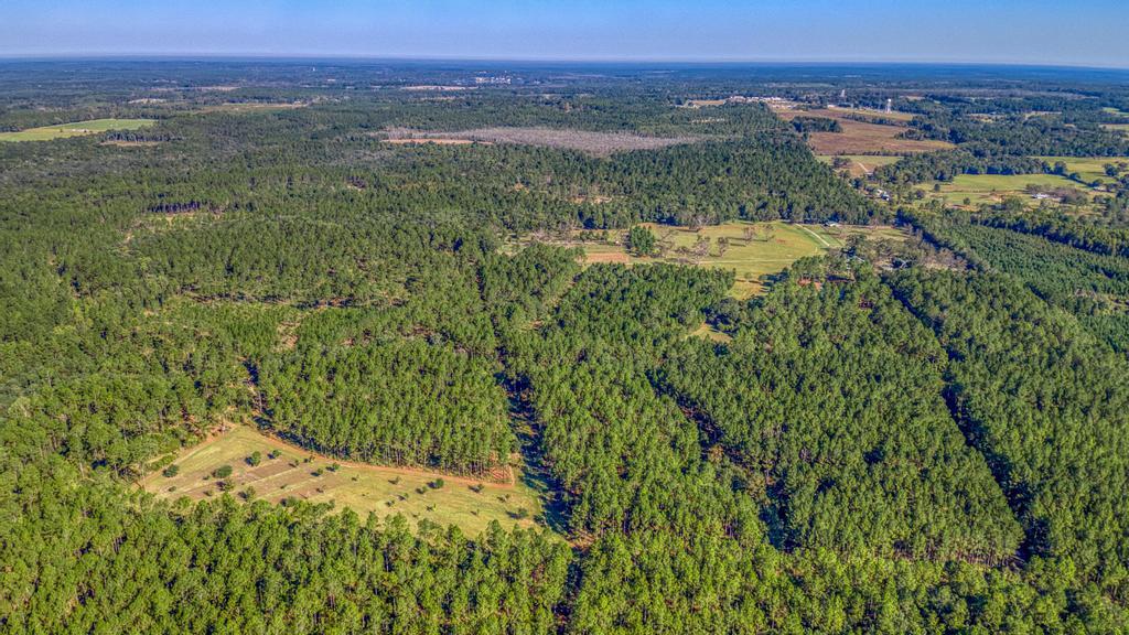 NONESUCH WAY - Residential