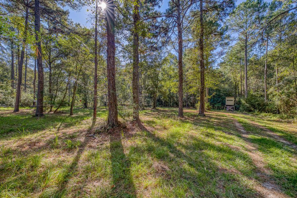 NONESUCH WAY - Residential