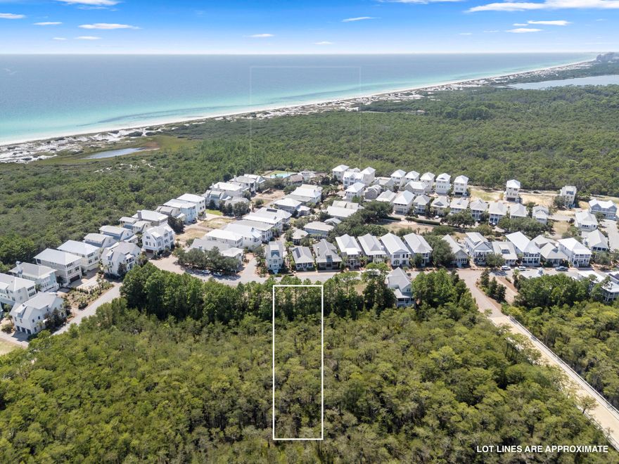 Discover a rare opportunity to build your dream home in Cypress Dunes, an exclusive gated community on the sought-after west end of 30A. Enjoy resort-style amenities, including two pools--one a stunning infinity-edge pool overlooking the Gulf--plus a clubhouse with chef's kitchen, fitness center, outdoor fireplace, tennis & pickleball courts. Meandering boardwalks through century-old cypress ponds provide a serene connection to nature.Perfect for families and pet lovers, Cypress Dunes features open green space and a proactive HOA.
