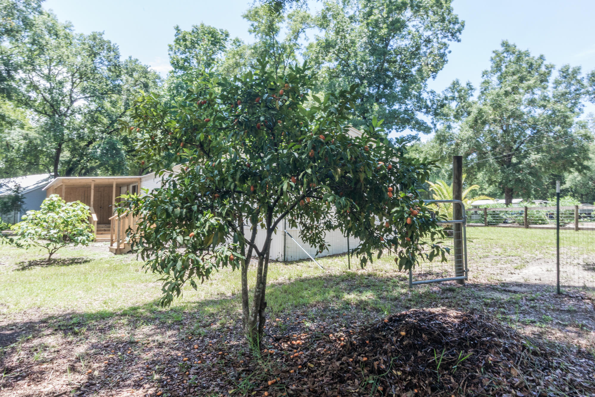 MAGNOLIA BAYE - Residential