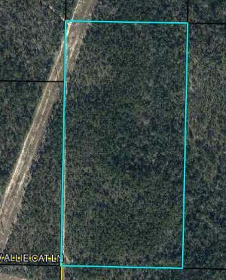 XXX L K Lona Drive, Fountain, FL 32438 is 20 acres unimproved raw land in NW Calhoun County. 1 mile from hwy 231 and 33 miles north of Panama City. Approximately half of the acreage in flood zone X and the other half in zone AE. No recorded easement Water well and septic will be required. Calhoun County school district closest schools are in Altha.