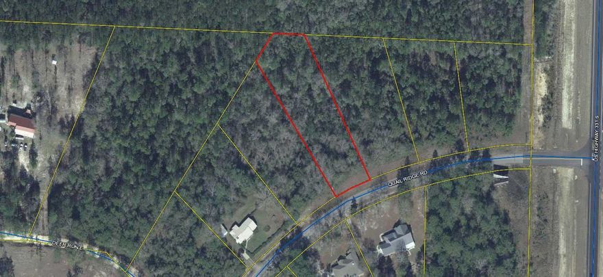 Looking for a piece of property to call home? Come check out this beautiful 1 acre lot off of Quail Ridge Dr.  The property is just off of 331, south of the interstate and 30 minutes from the beaches of South Walton. Lots of new development coming to the area you don't want to miss out on this property! Restrictions - No mobile or modular homes, no permanent or stationary RV's, permanent structure for living space is a minimum of 1,200 square feet in size.