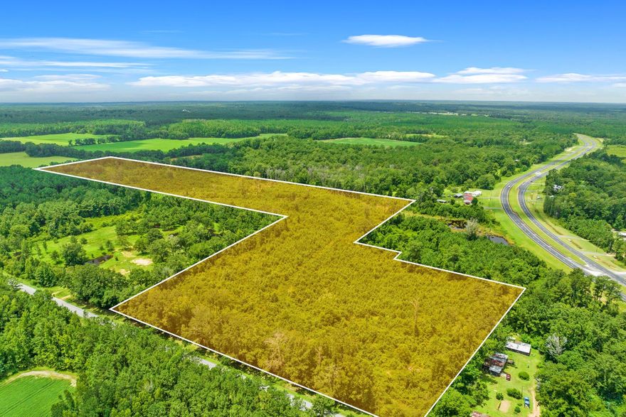 40 acre lot with 677 feet fronting Fanning Branch Road. Could be used as farm land, or be the perfect home site to build on!Zoning: PastureSchools: Vernon Public Schools