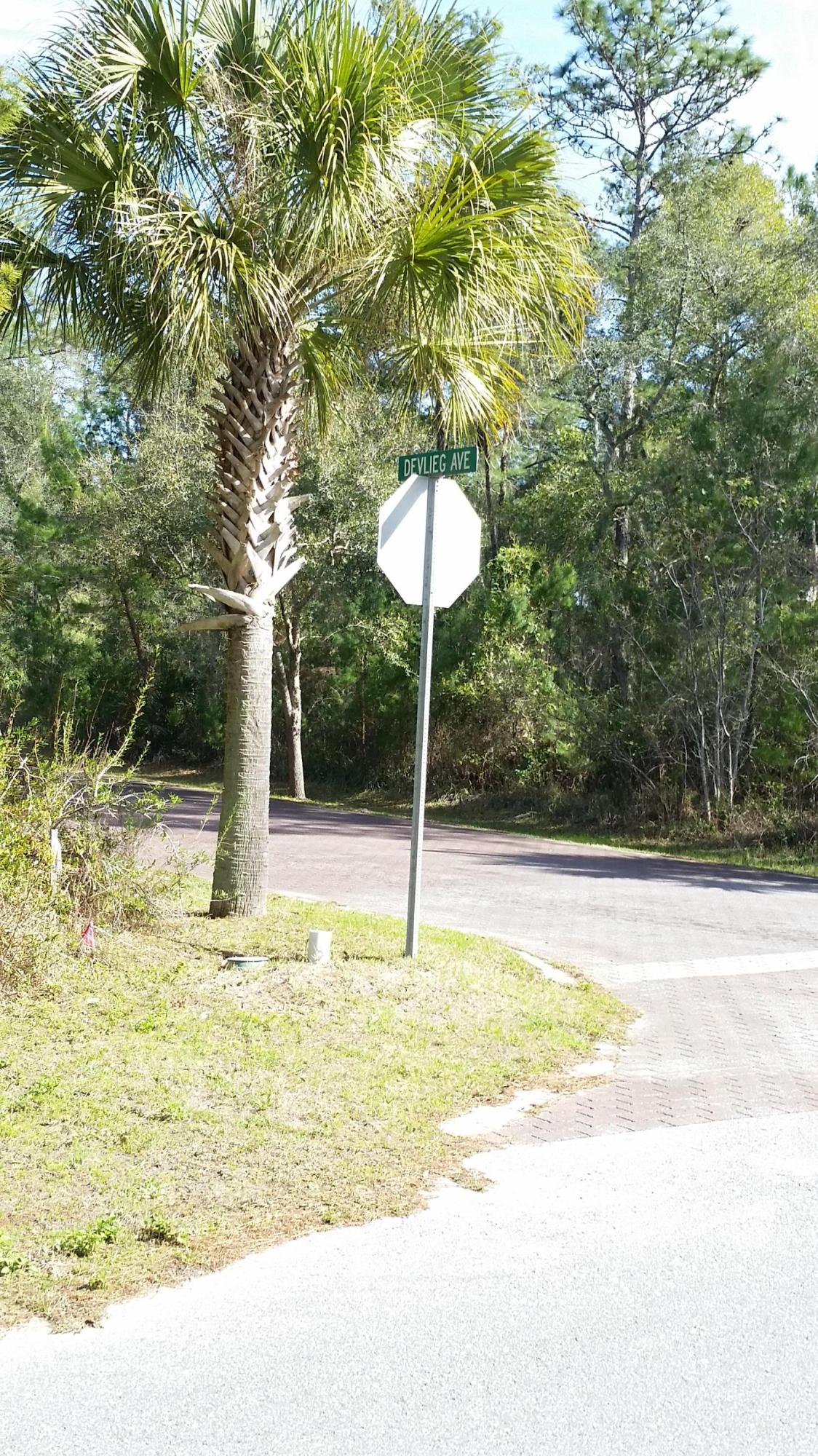 GRAYTON BAYOU AT MAGNOLIA BEACH - Land