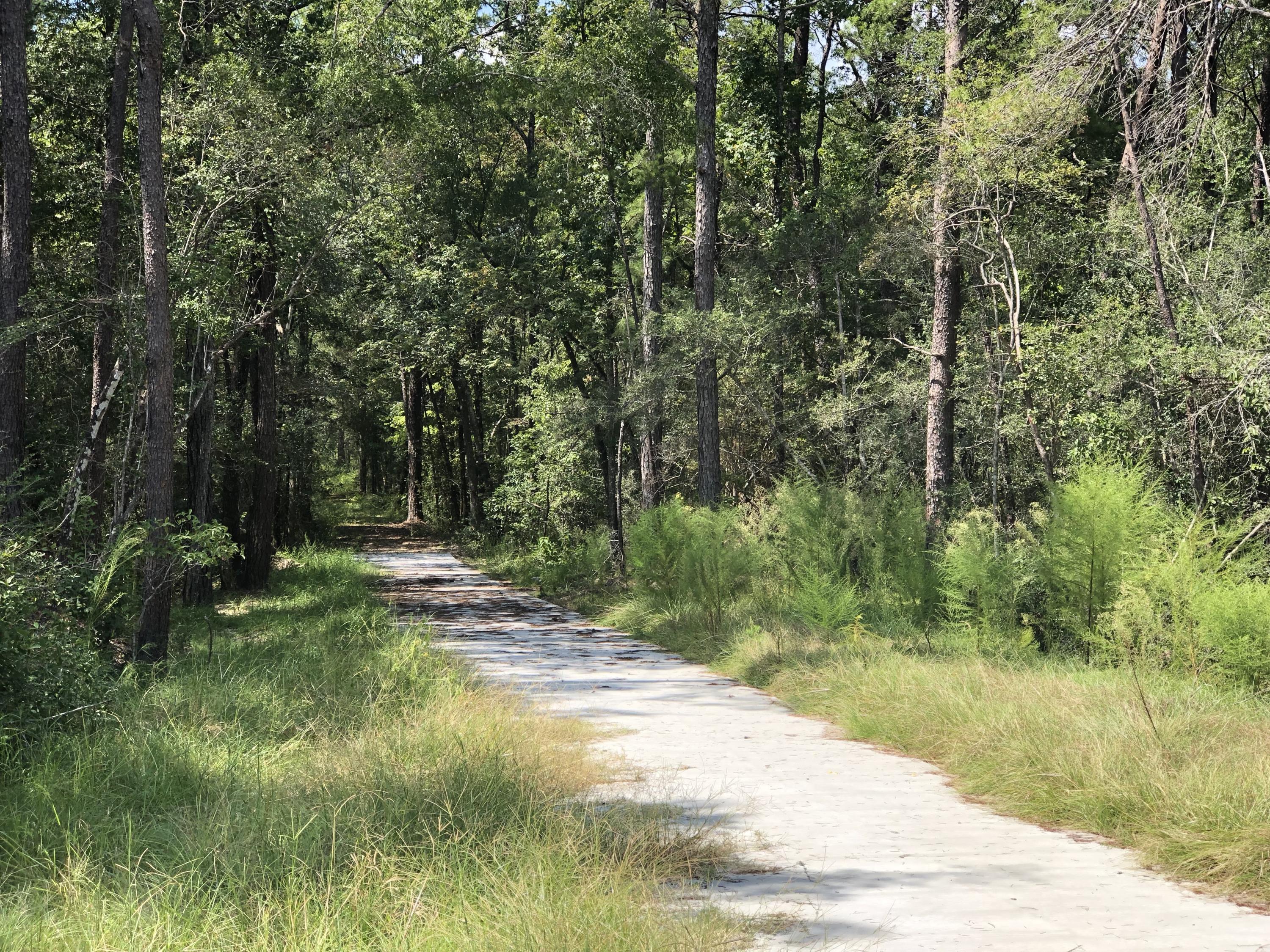 Lafayette Creek Landing, Phase 2b - Residential