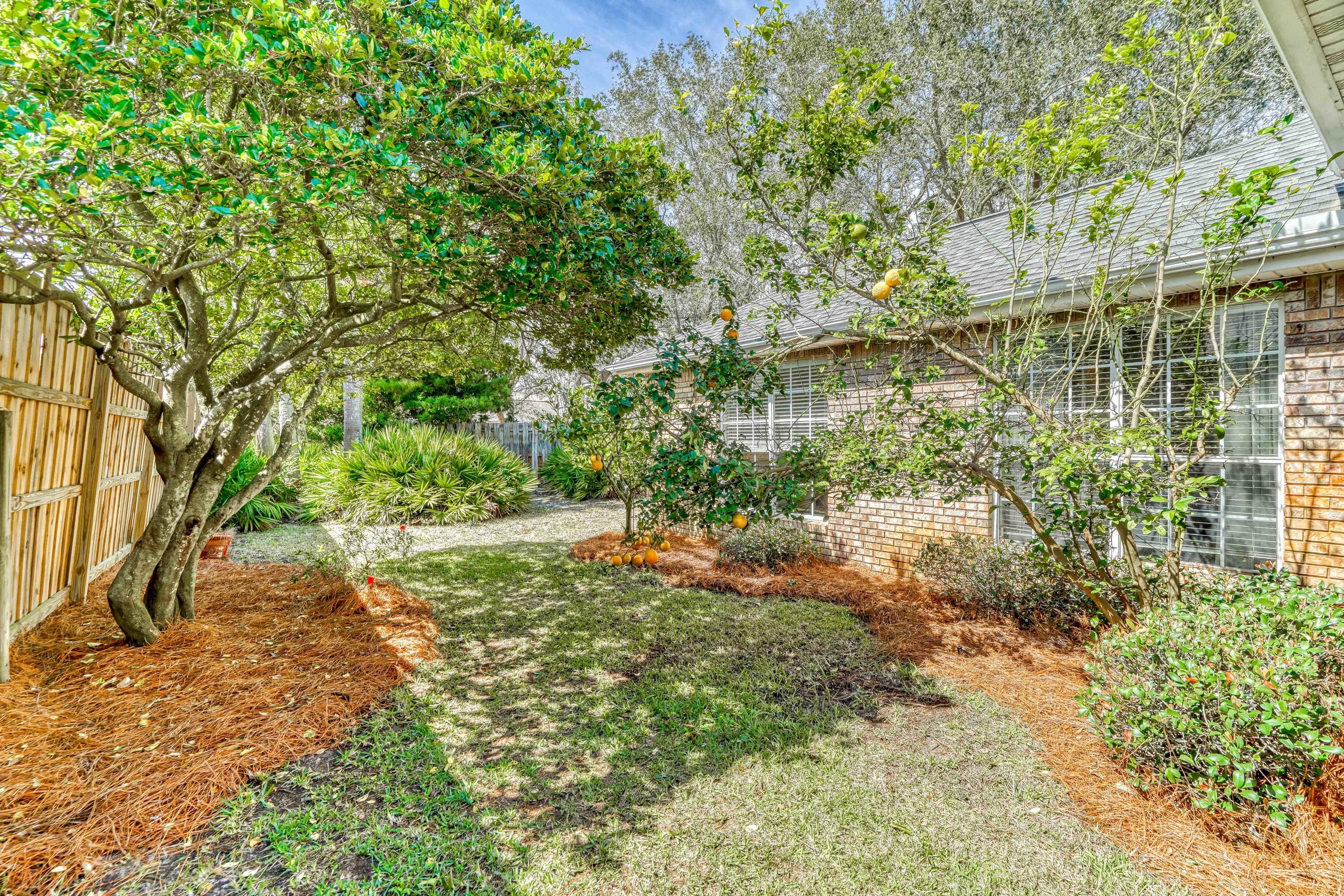 WINDSOR FOREST - Residential