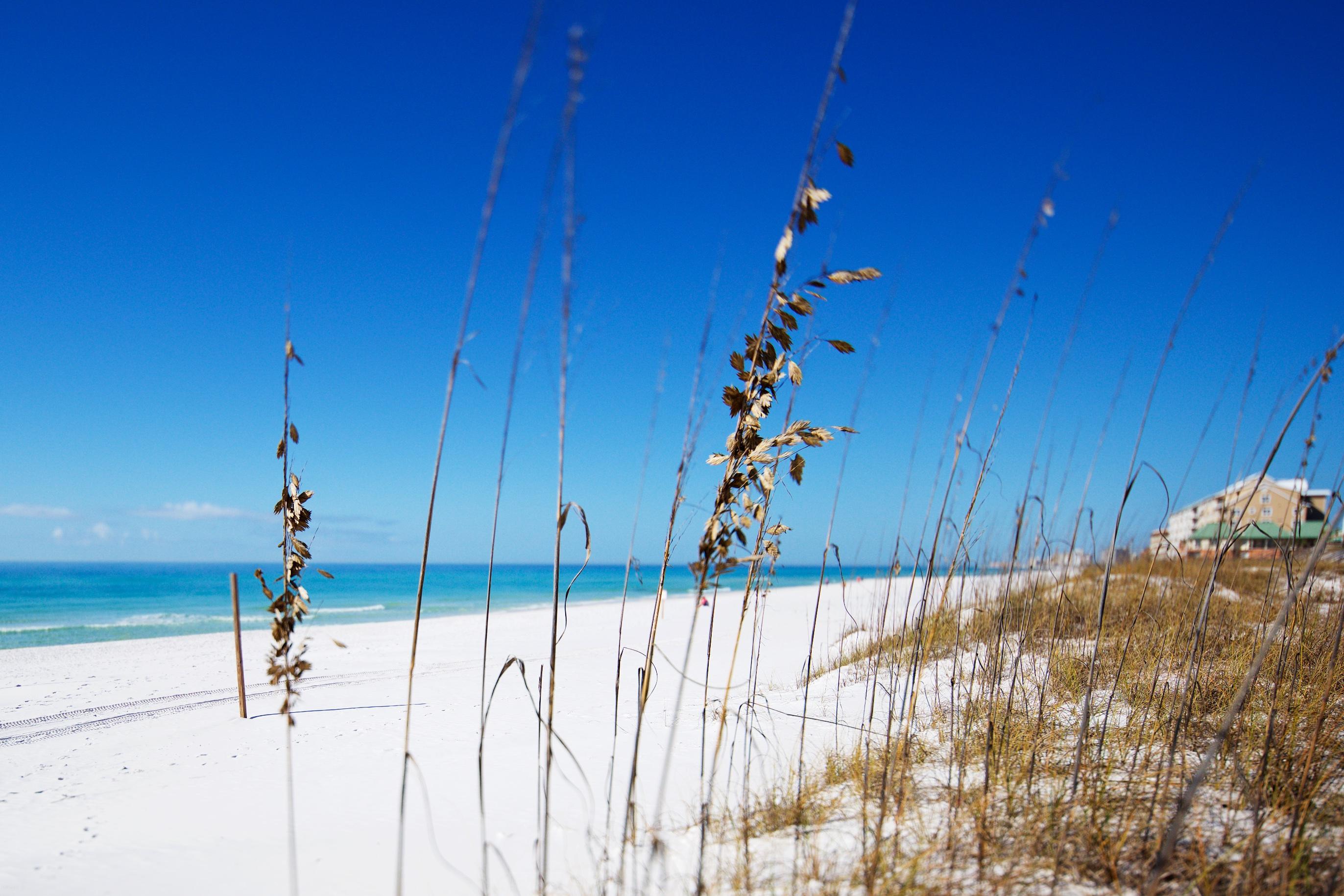 One Twenty Five Crystal Beach Drive - Residential