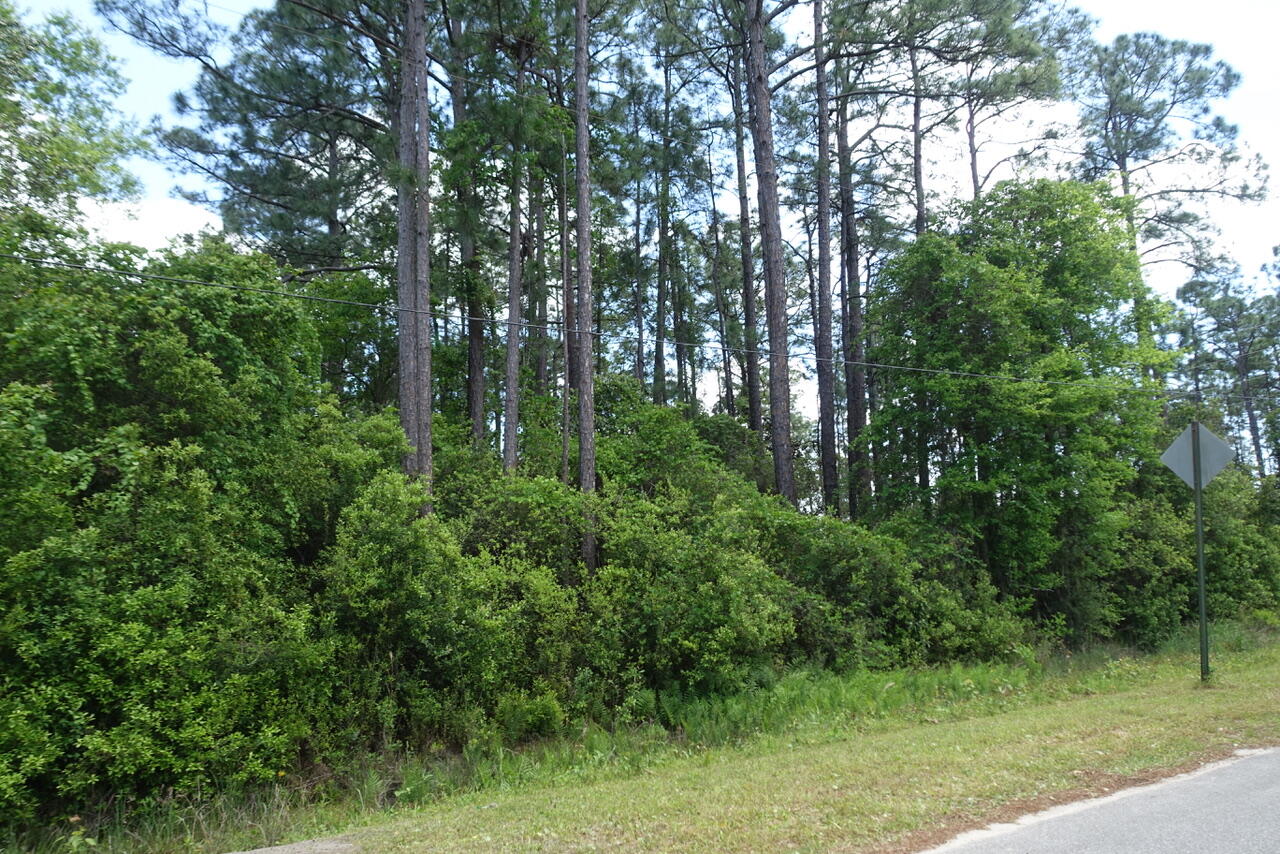 Nice wooded lot in the Pisces Cove Community with No HOA. X Flood Zone. Dimensions are 100 x 200.Convenient location only 1 mile from Hwy 331.Enjoy the Bay views, dining and entertainment at 3 different Restaurants on Choctawhatchee Bay.Thomas Pilcher Park is under the 331 Bridge and offers Boat, Canoe Access, Fishing, Pavilions, Picnic Areas with Tables and Restrooms. A short drive to the Beach Communities on Hwy 30-A. No Survey. Buyer to Verify all Items deemed Important. Please Provide Proof of Funds or Pre-Qualification Letter.
