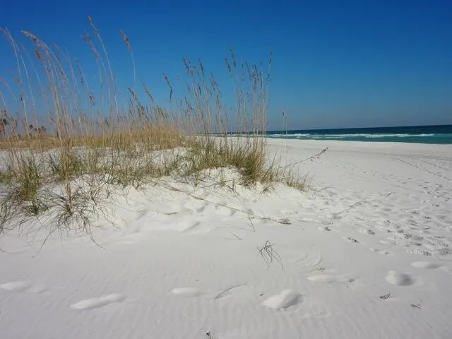 Santa Rosa Beach, Florida 32459, United States, ,Land,Pending,112903