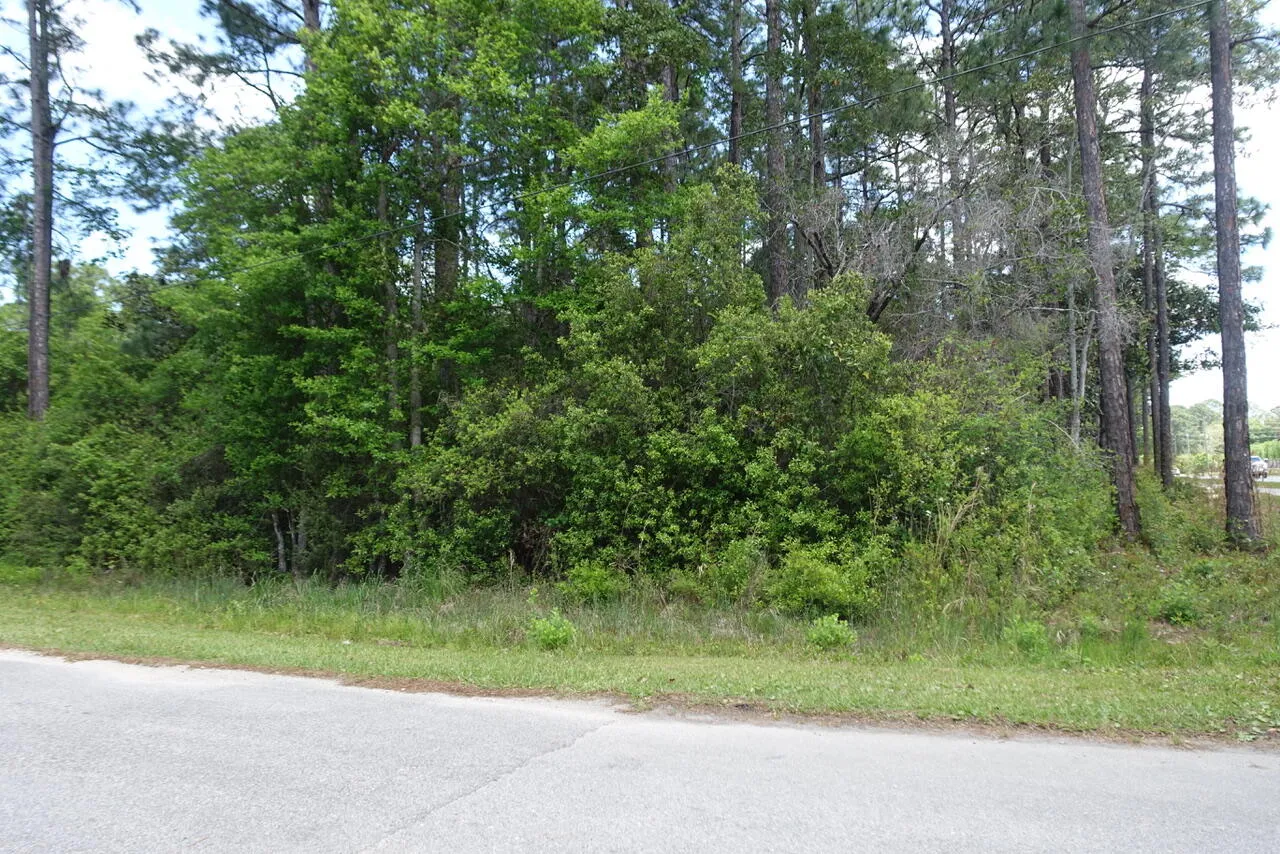 Santa Rosa Beach, Florida 32459, United States, ,Land,Pending,112903