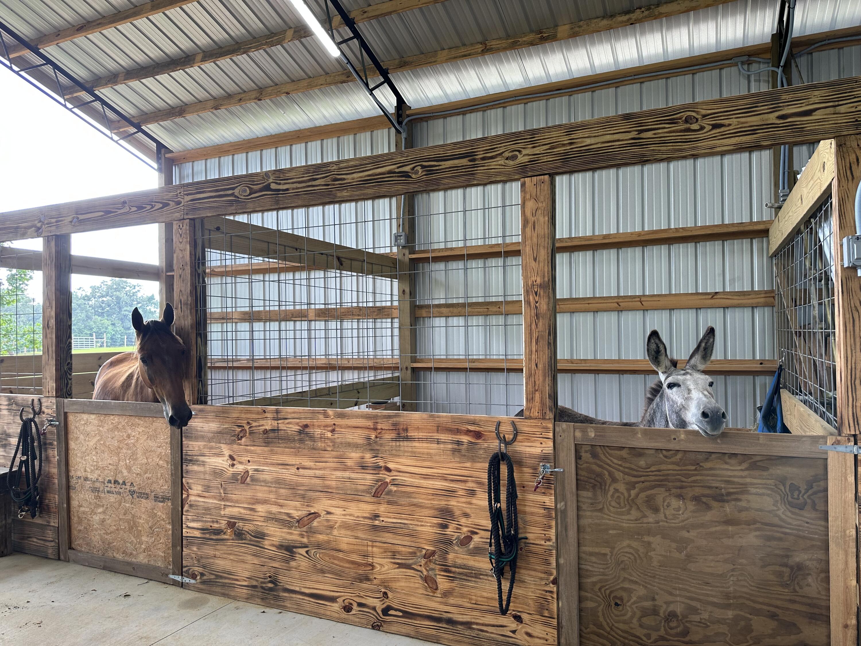 NO RECORDED SUBDIVISION - Residential