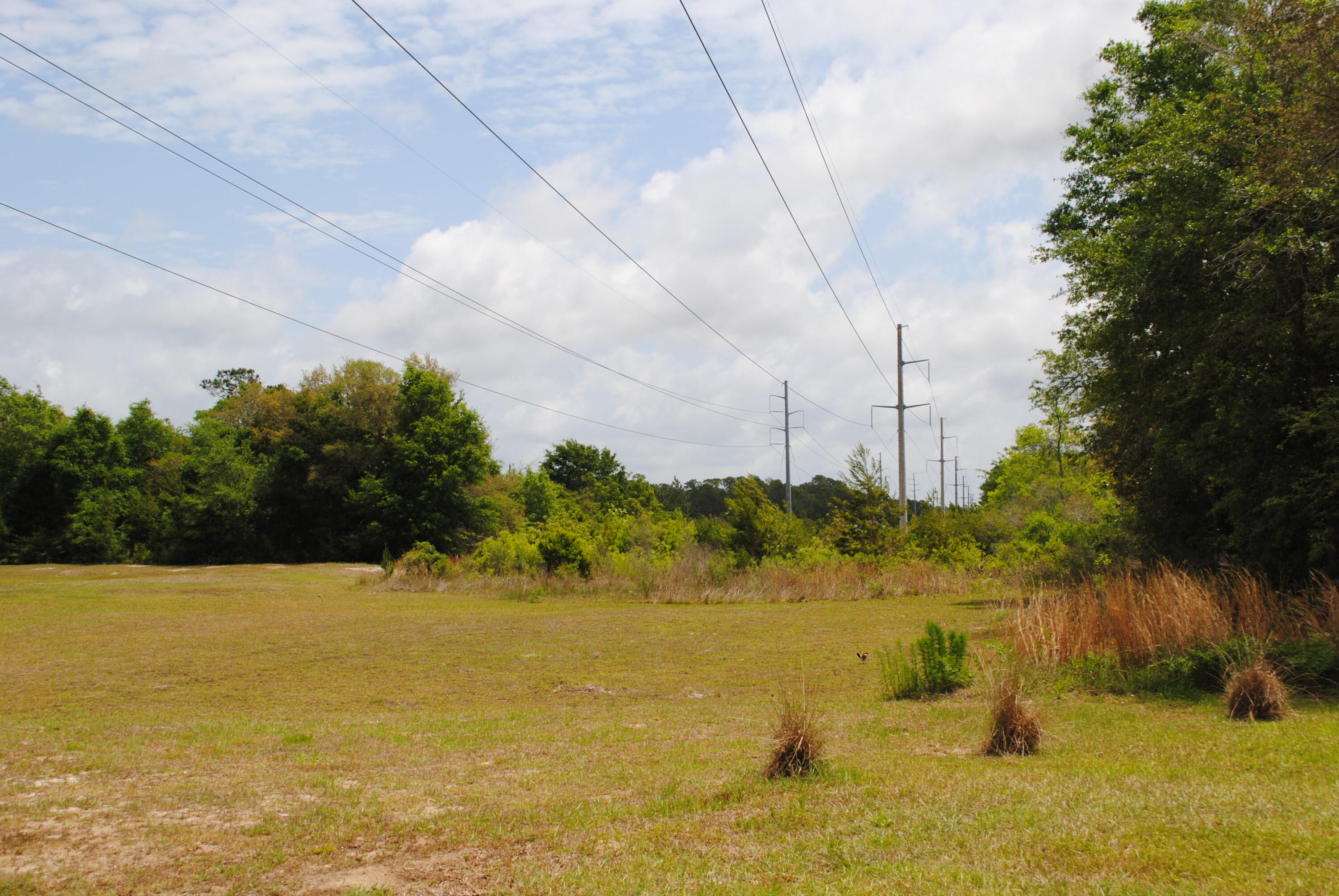 The preserve at Paradise Cove - Residential