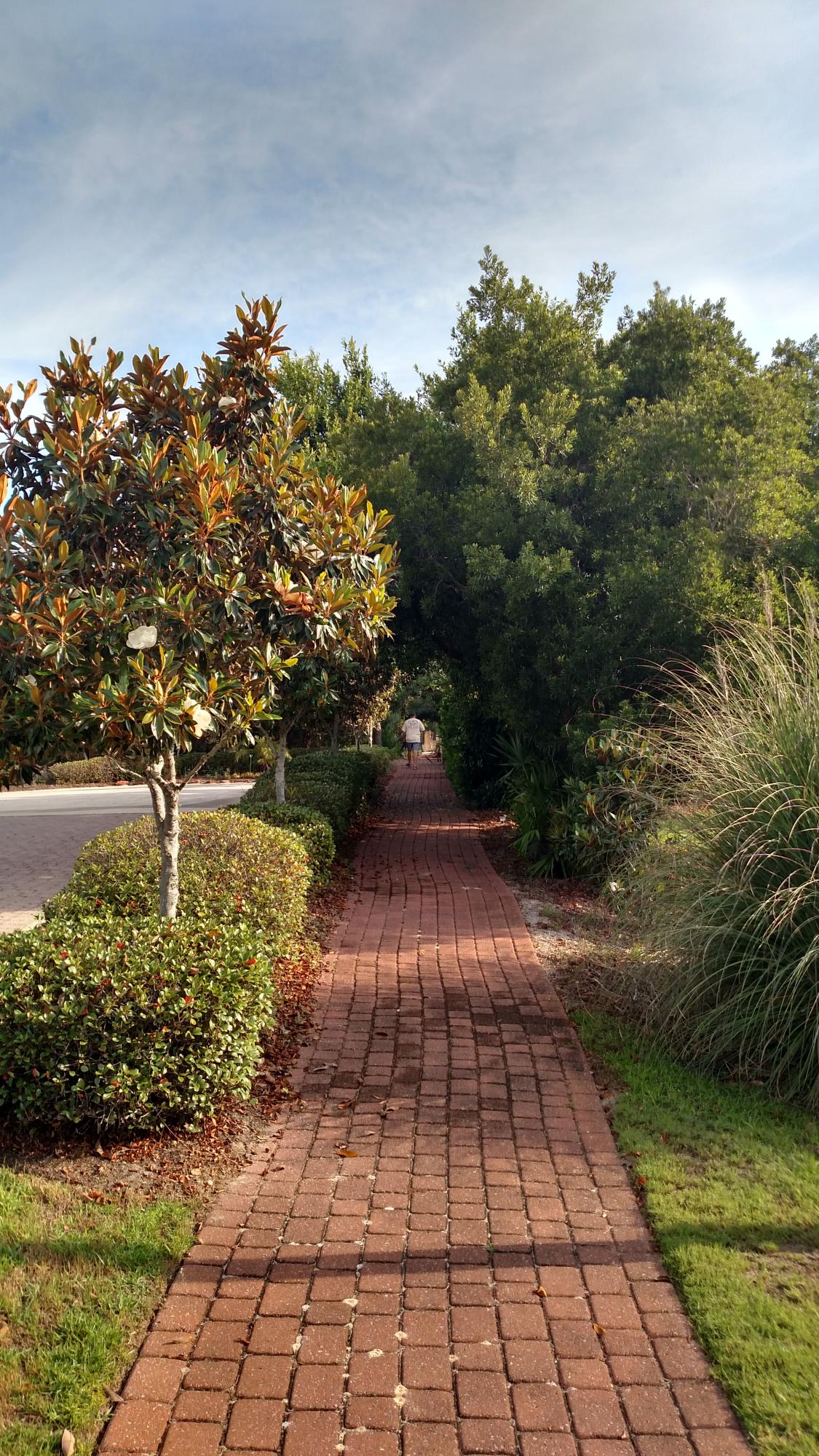 GULF PLACE AT SANTA ROSA BEACH PH 3 - Land