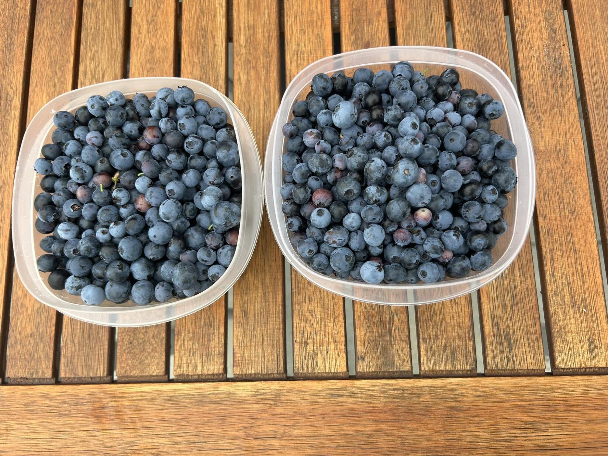 Forest Bay Est All - Residential