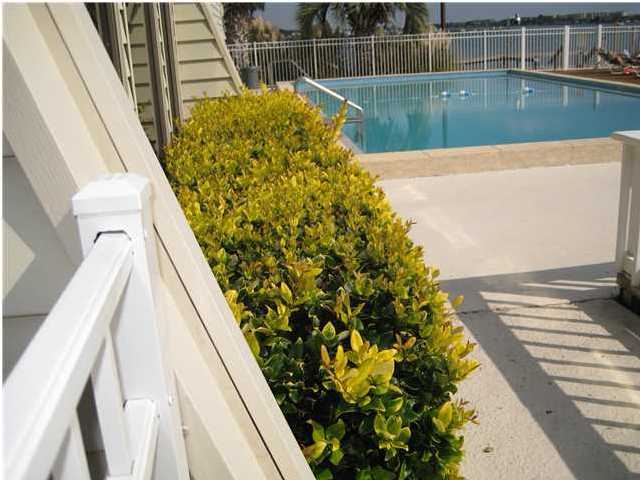 FOUNTAINHEAD CONDO - Residential Lease