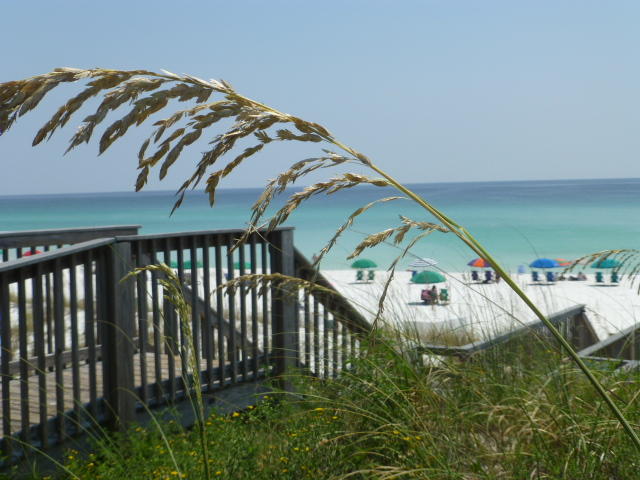 MARAVILLA COTTAGES - Residential