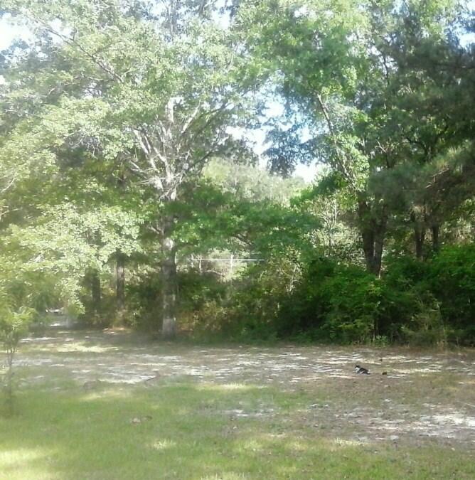 NONESUCH WAY - Residential