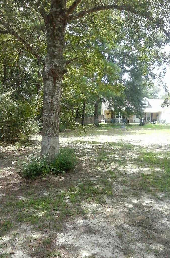 NONESUCH WAY - Residential