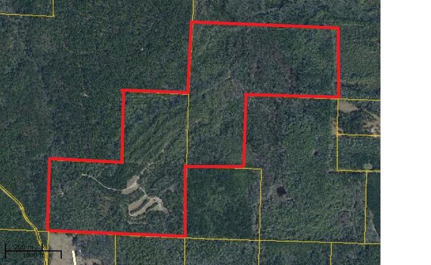 Nice large tract of land located 15 minutes from DeFuniak. Property is surrounded by thousands of acres of timberland and is excellent for hunting. Land is private and seculded and has tons of potential. Property has no legal access and is land locked