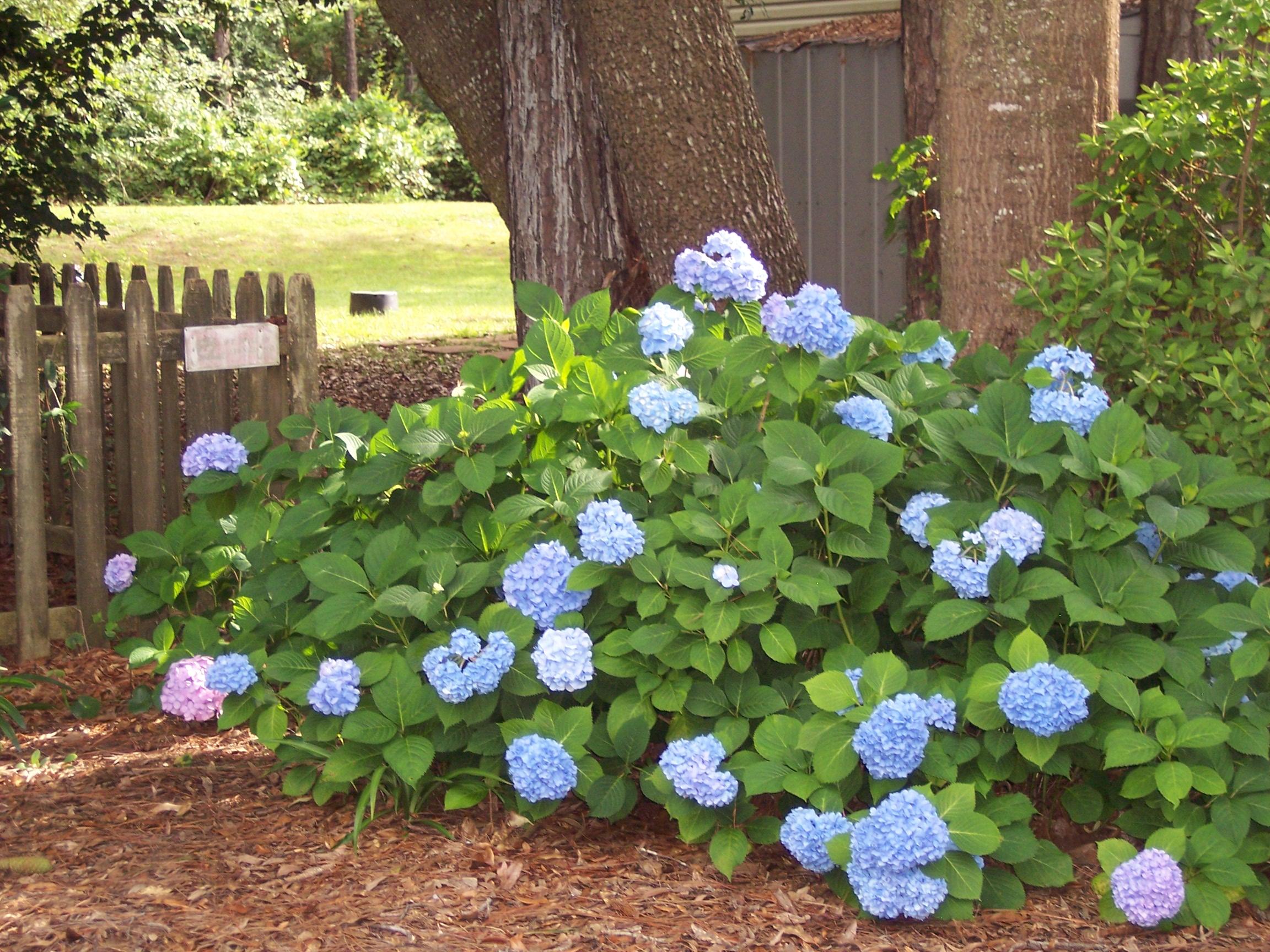 MAGNOLIA CREEK PHASE 2 - Residential