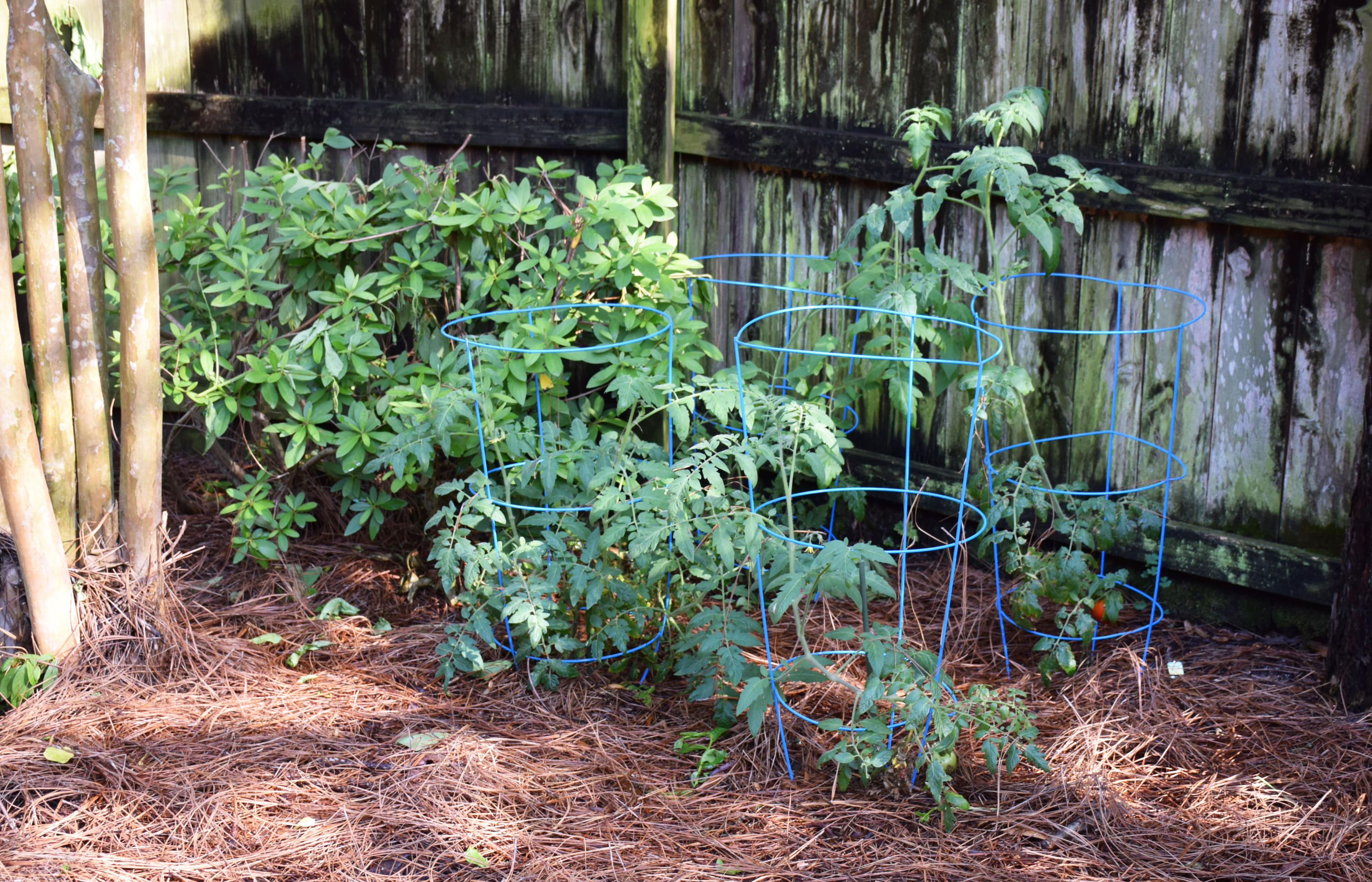 SWIFT CREEK PH 4 - Residential