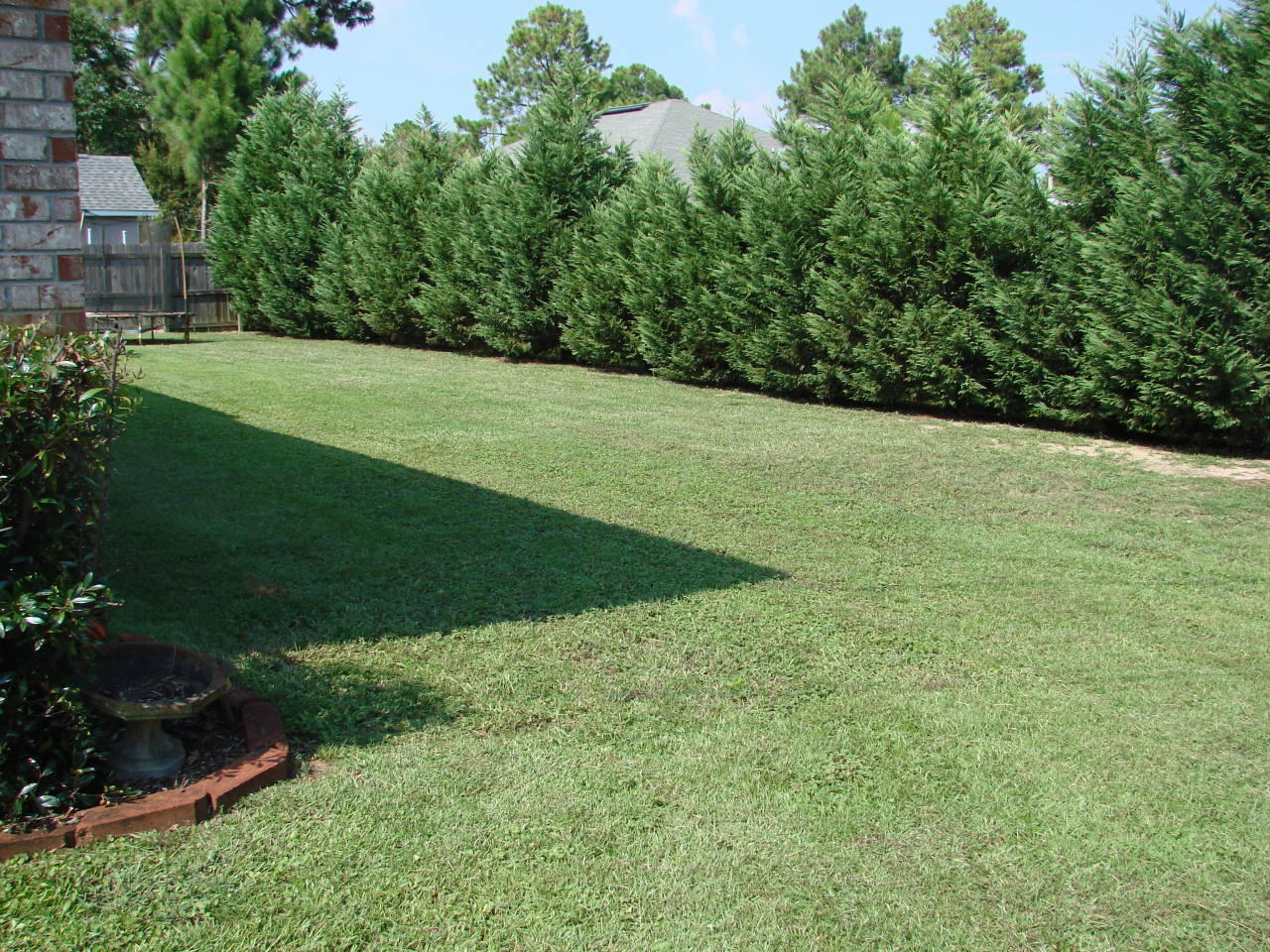 ADRIAN WOODS - Residential