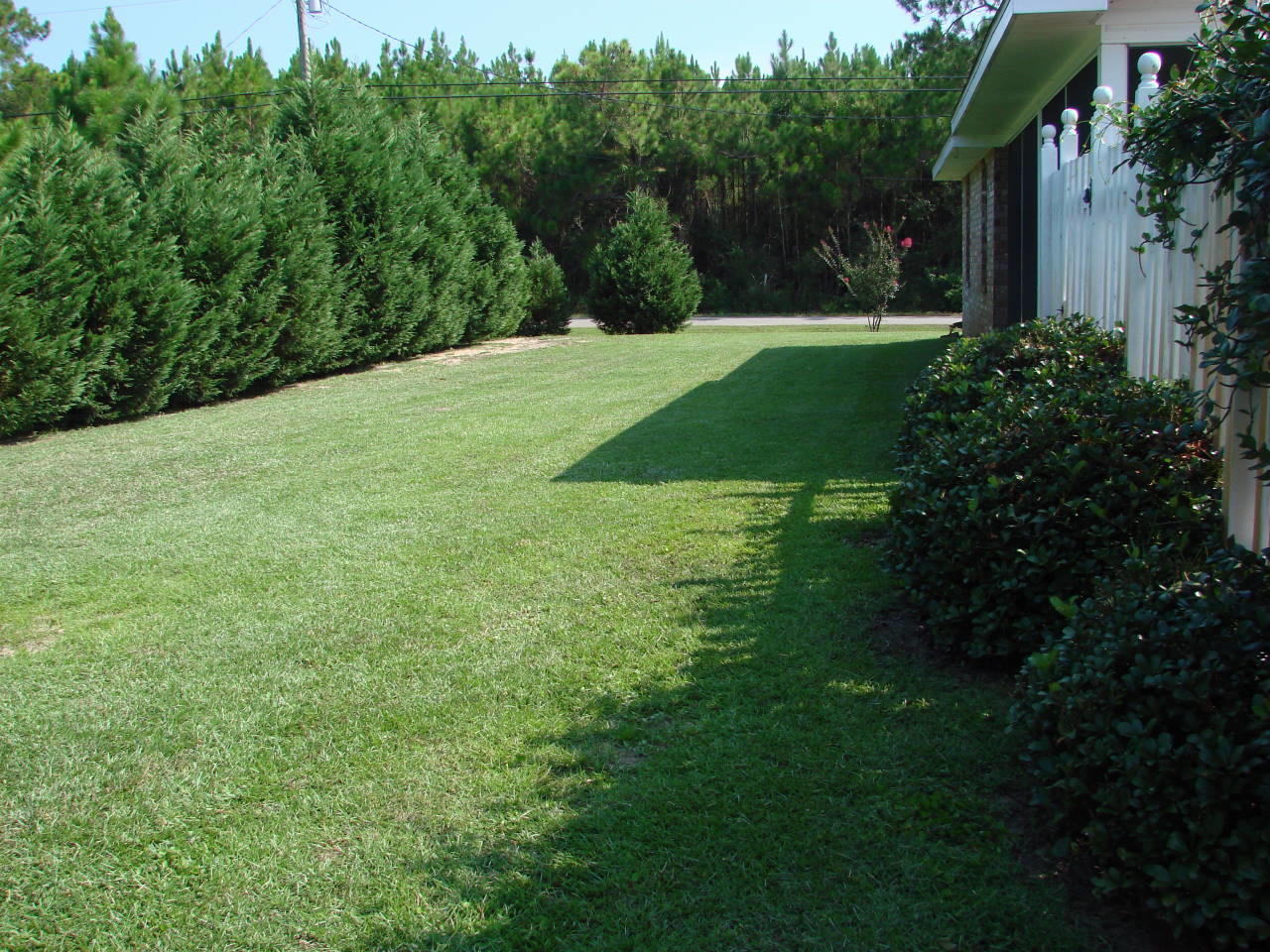 ADRIAN WOODS - Residential