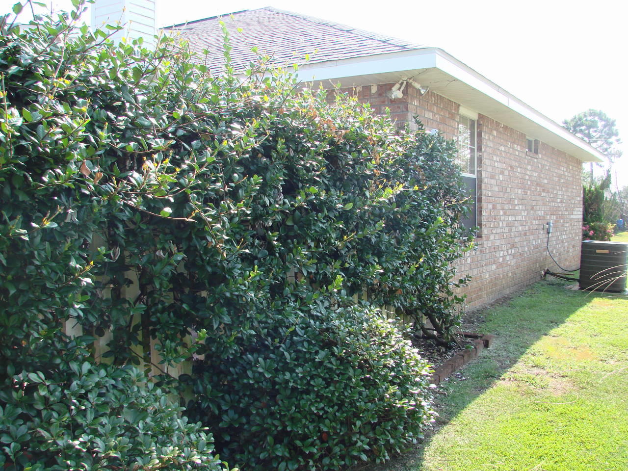 ADRIAN WOODS - Residential