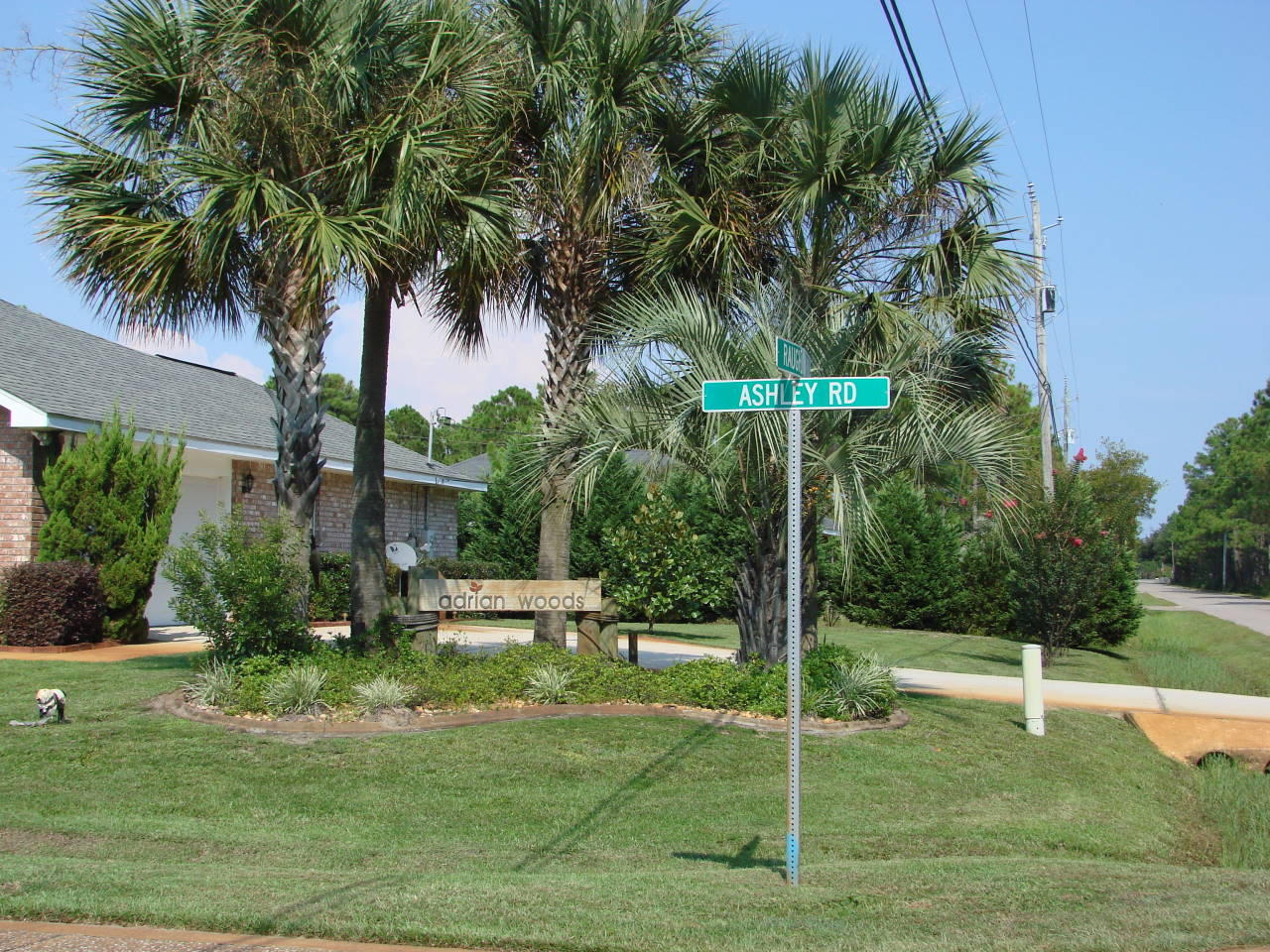 ADRIAN WOODS - Residential