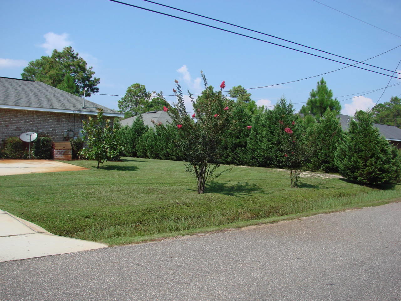 ADRIAN WOODS - Residential