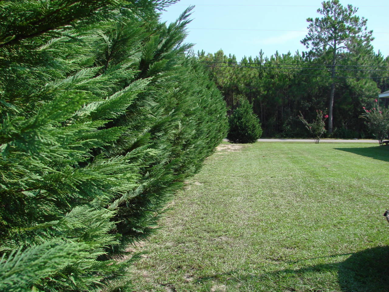 ADRIAN WOODS - Residential