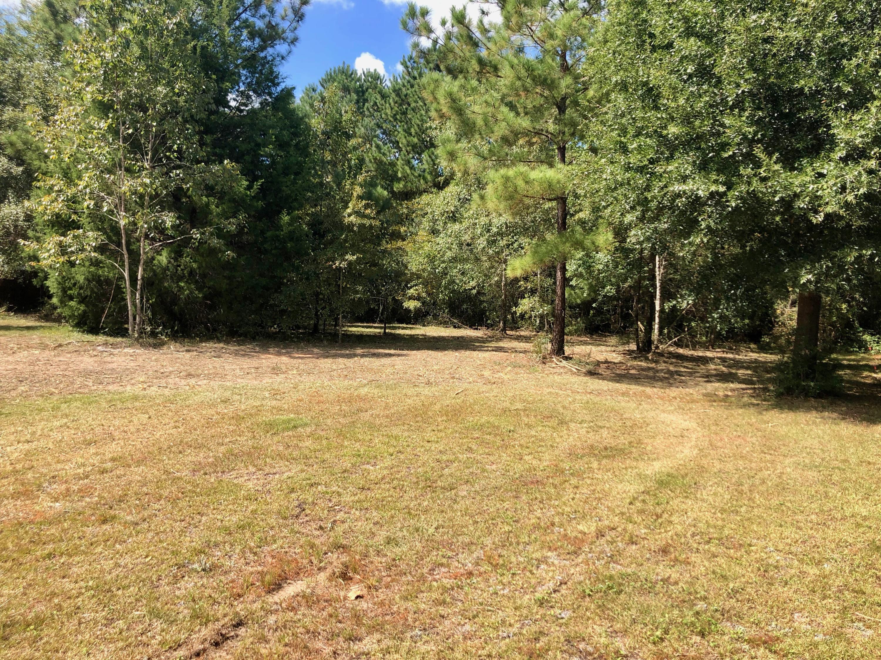 DORCHESTER PLACE - Land