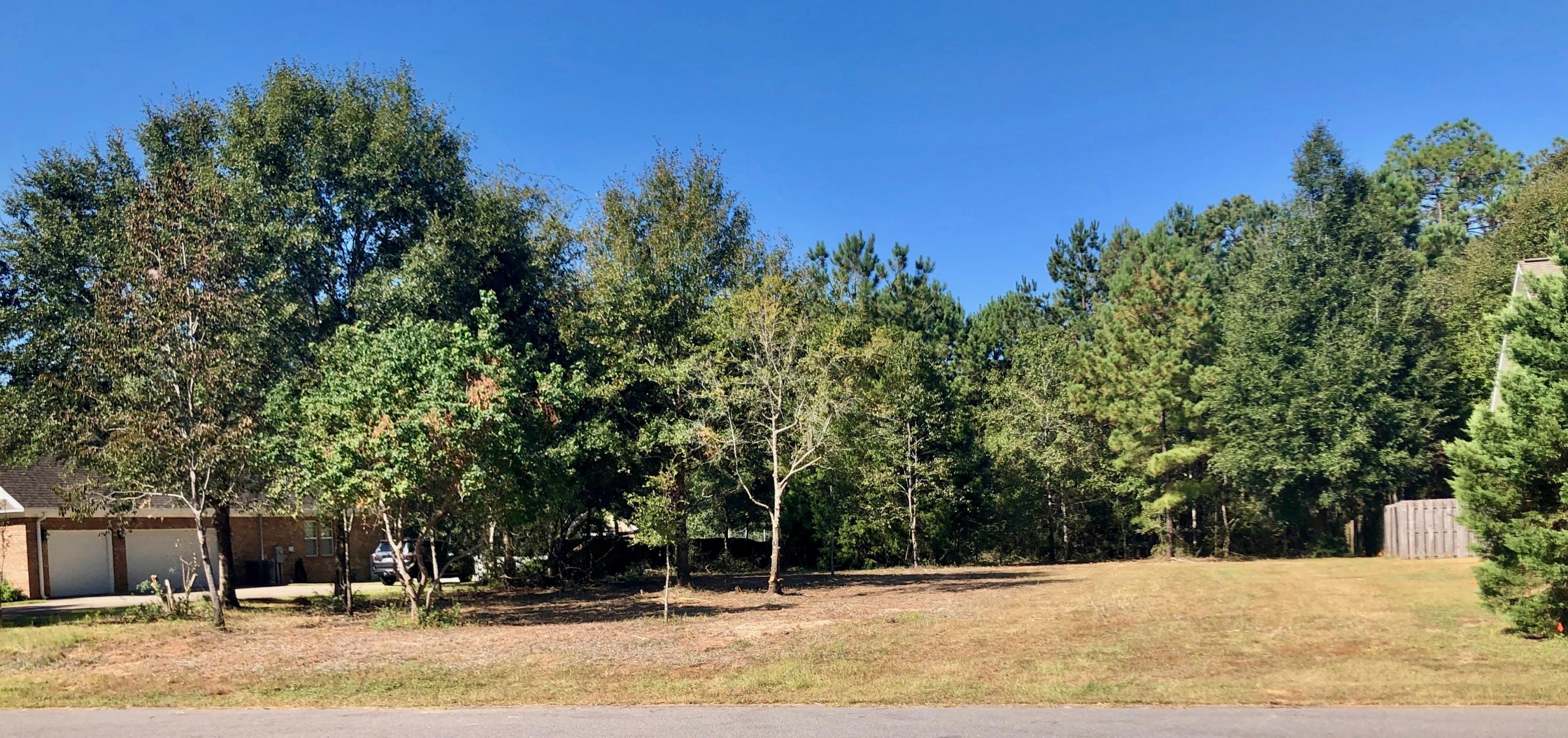 DORCHESTER PLACE - Land