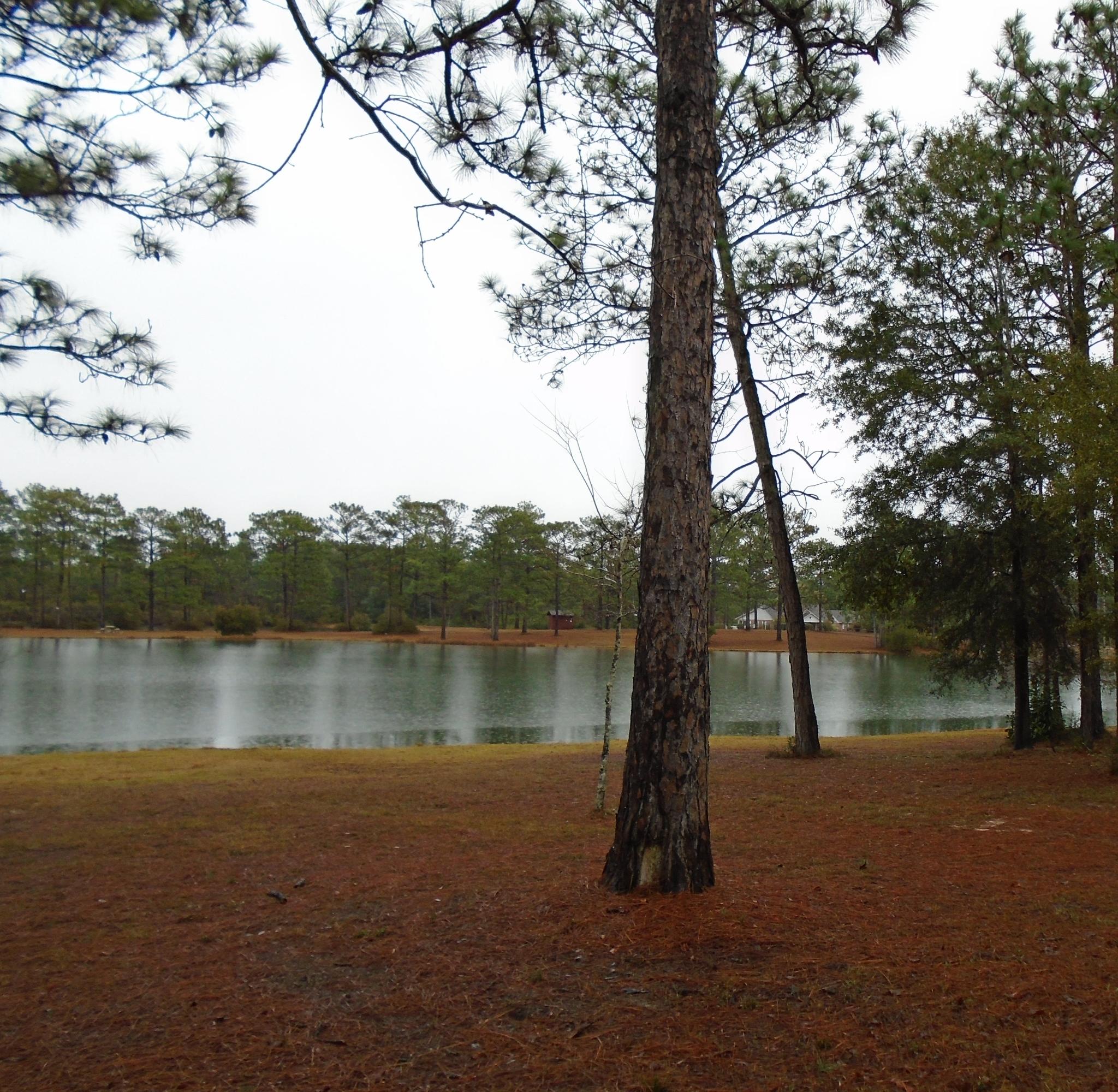 Grandview Heights Unrecorded Lot 68 - Residential