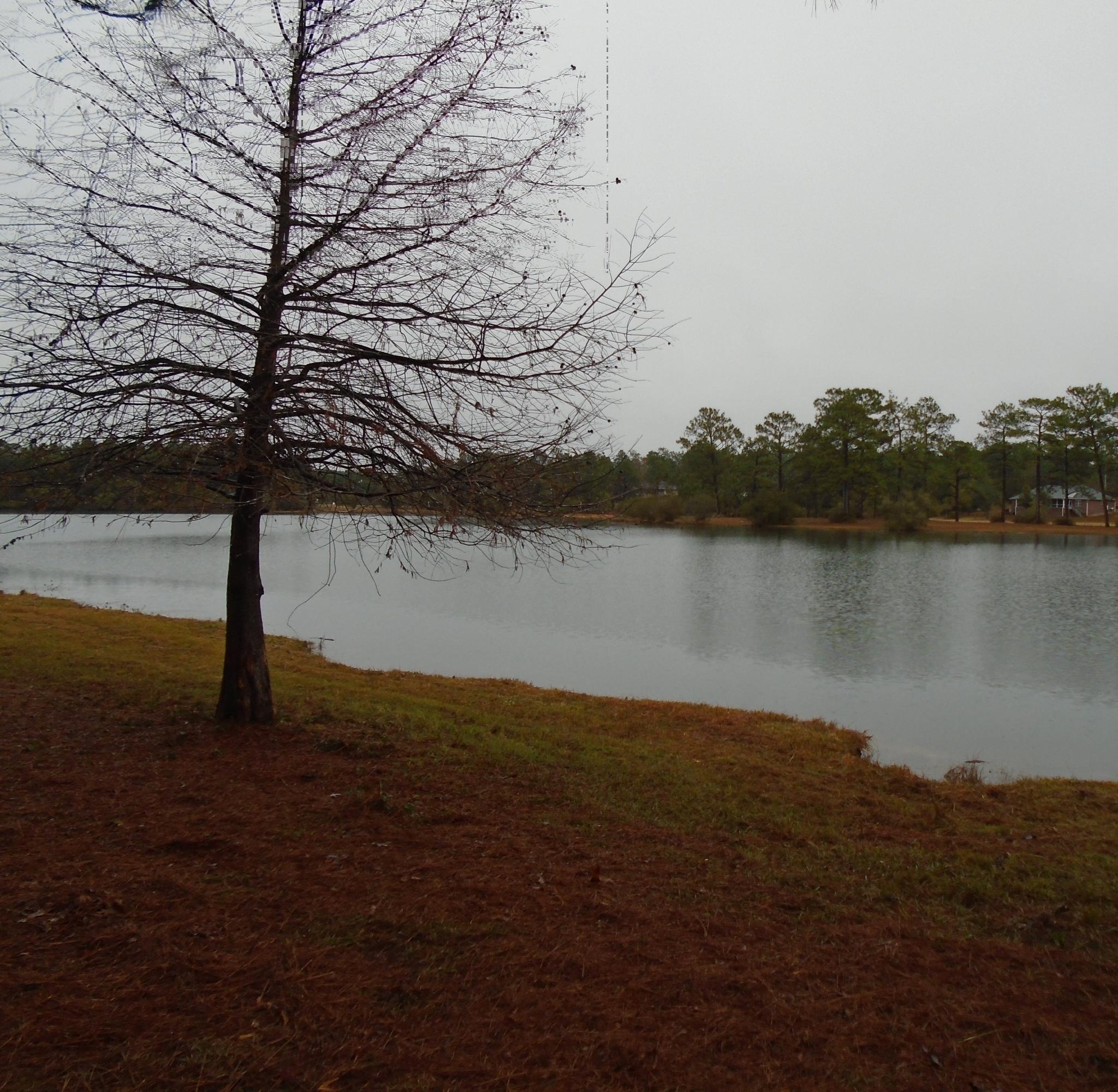 Grandview Heights Unrecorded Lot 68 - Residential