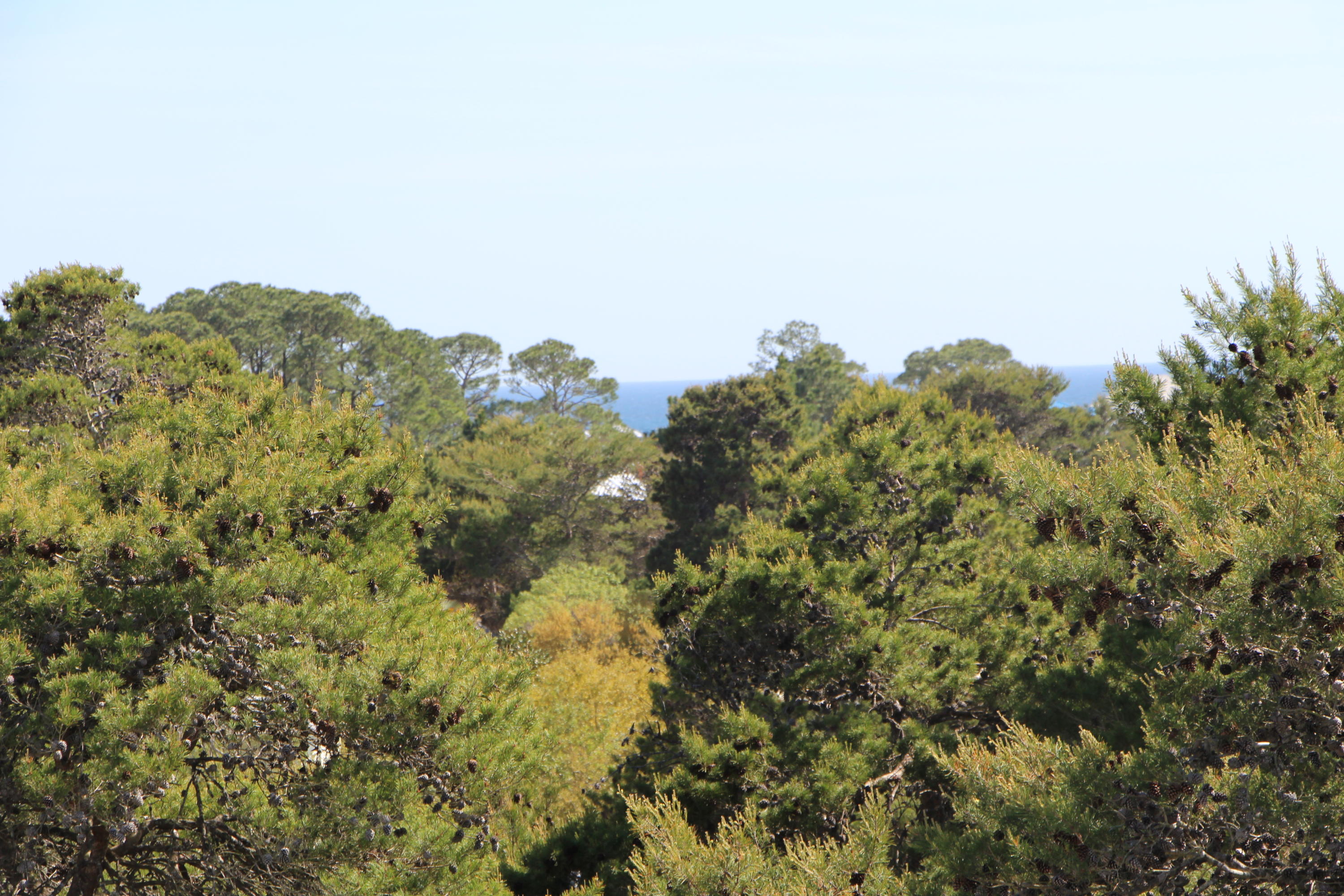 SEA DUNES - Residential