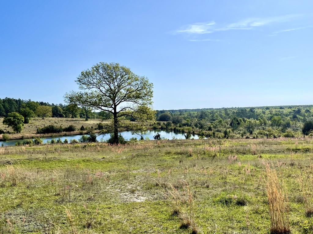 NORTH SUPERGROUP - Residential