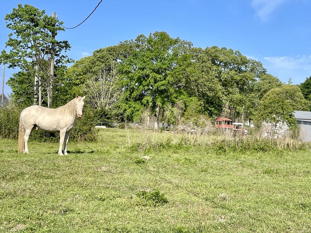 NORTH SUPERGROUP - Residential