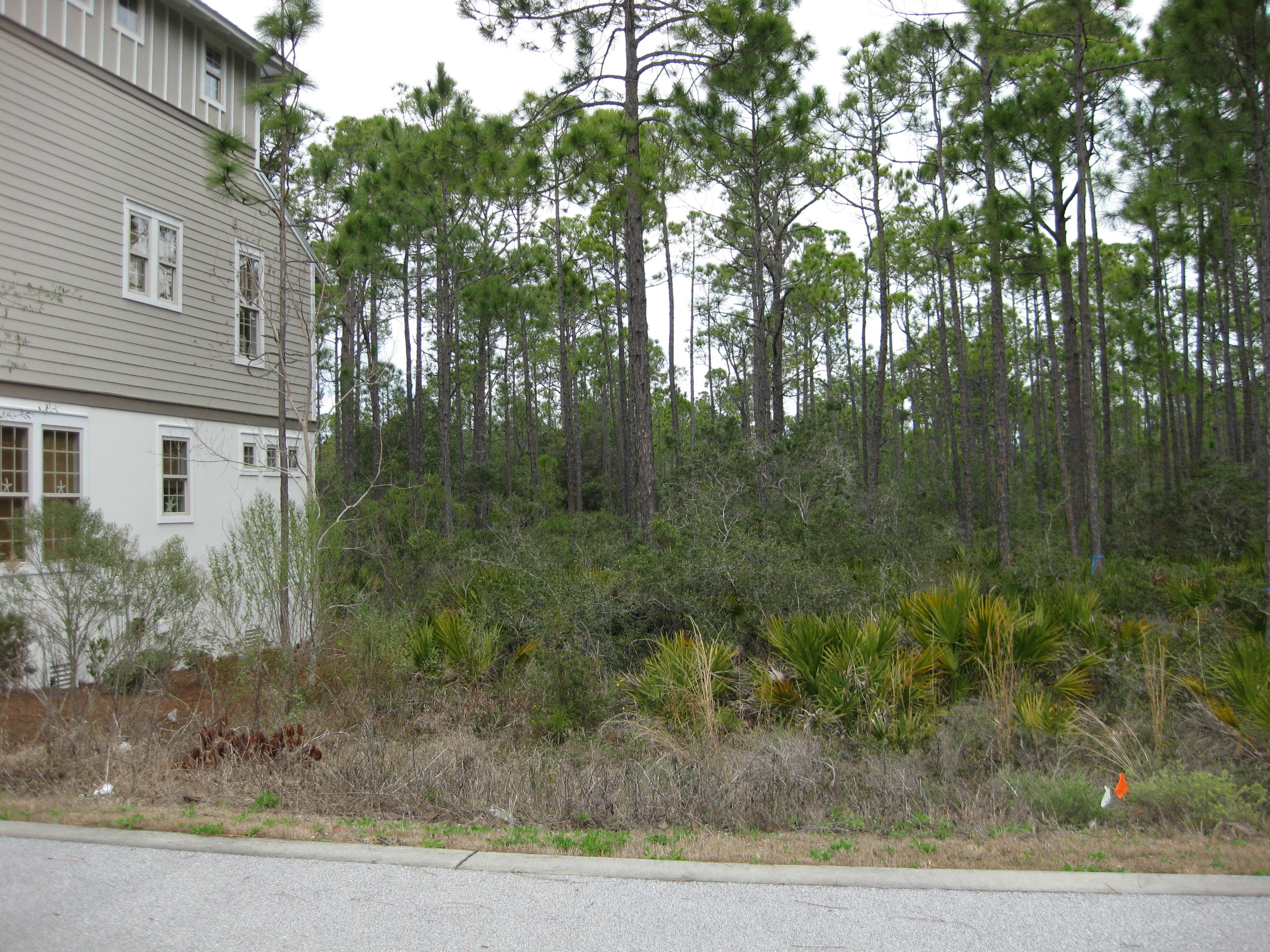 Large flag lot in the gated upscale Treetop Subdivision. This development is connected to Seacrest Beach and has access to all Seacrest amenities, including the 12,000 square foot lagoon pool. Treetop also has a private pool. This lot backs to a large common area/greenspace. No build out time. Bike to Alys Beach, Rosemary Beach, and all that 30-A has to offer.